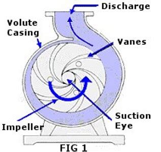 direction of rotation of centrifugal pump|pump rotation direction clockwise.